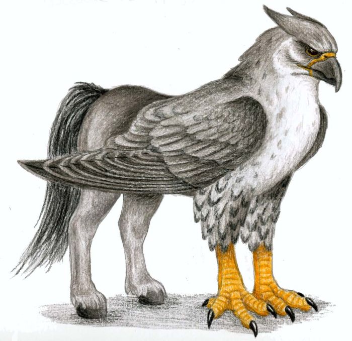 Тетрадь Келли Hippogriff