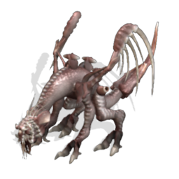 ACalookanrix