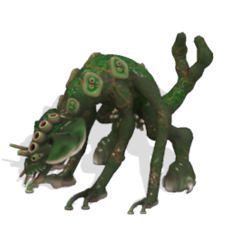 Caloomeranox  Snail