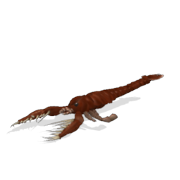 Sporistics Megalograptus