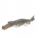 Sporistics / Suchodus